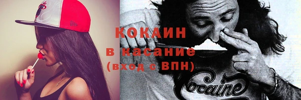 твердый Слюдянка