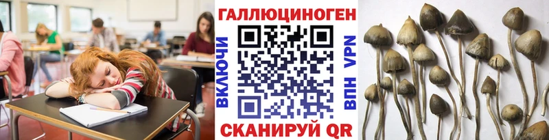Галлюциногенные грибы прущие грибы  как найти закладки  Медынь 